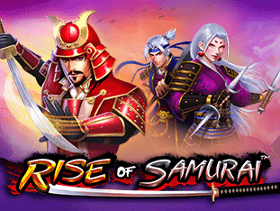 Rise Of Samurai screenshot